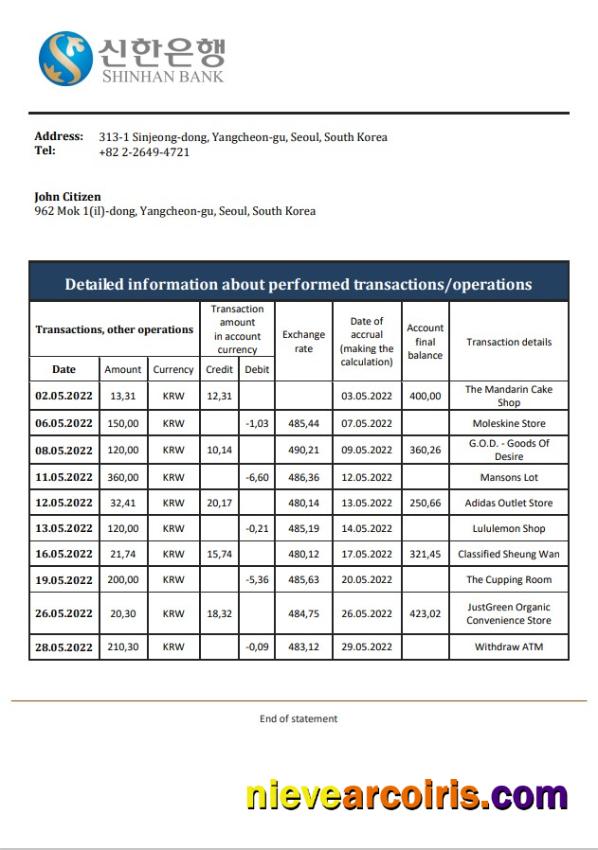 South Korea Shinhan Bank statement